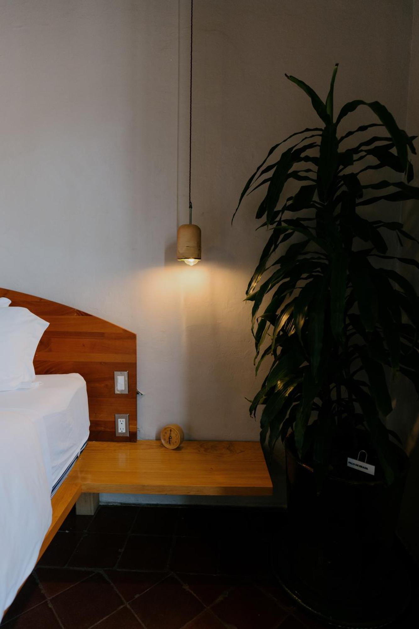 Grana B&B Oaxaca ภายนอก รูปภาพ