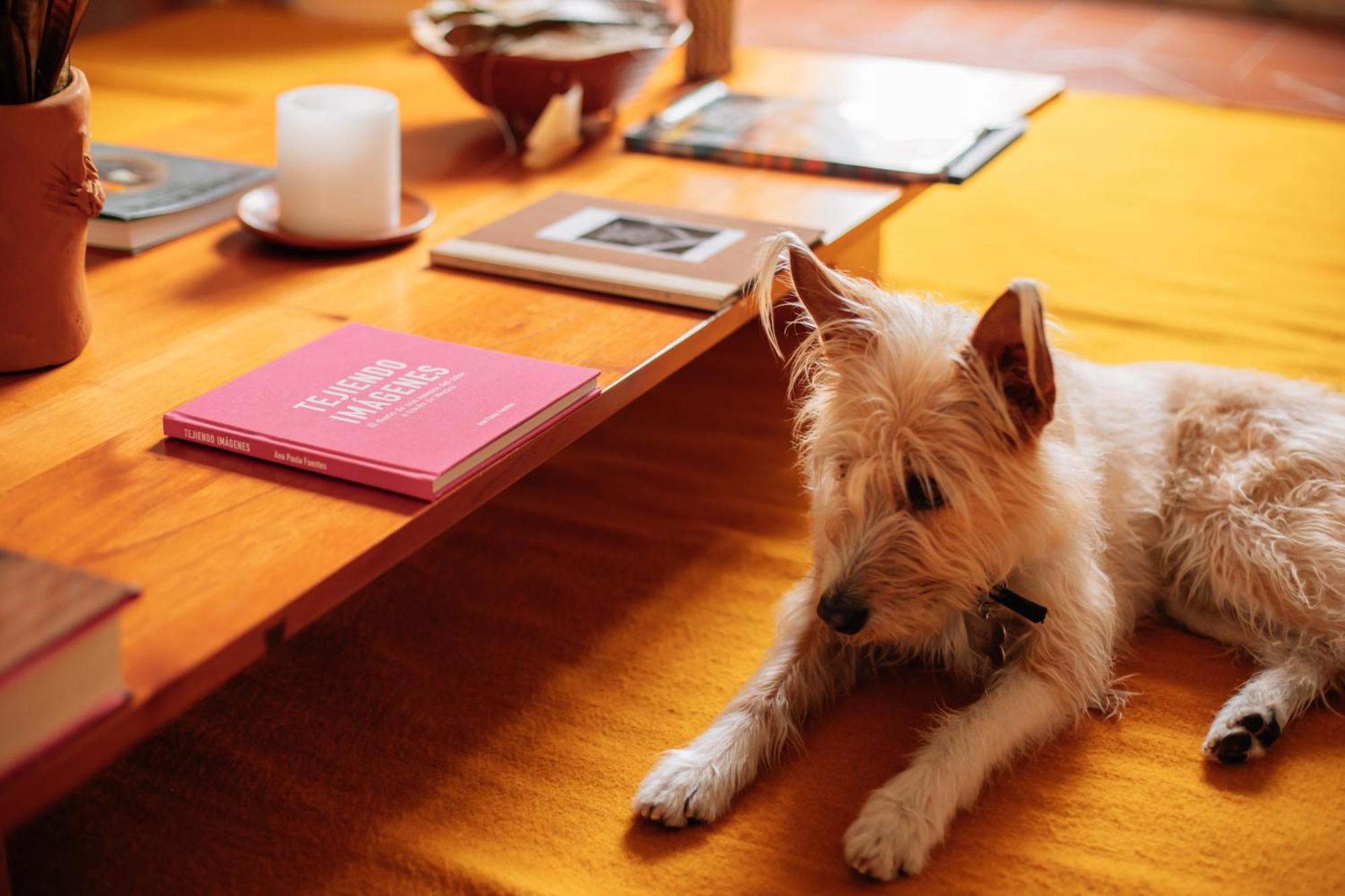 Grana B&B Oaxaca ภายนอก รูปภาพ